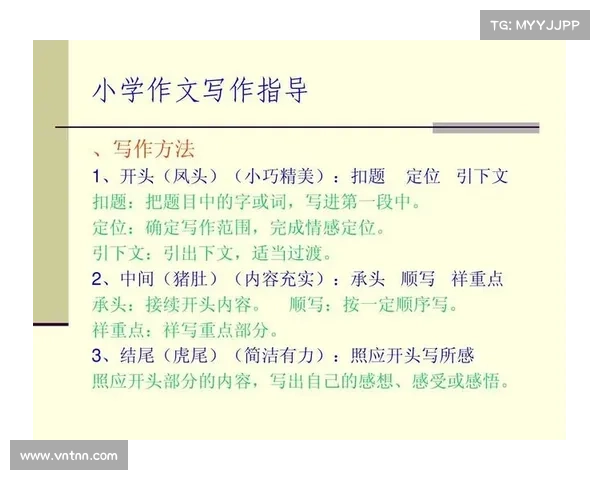 使用iwrite平台有效解决写作难题提升写作效率与质量的多重优势