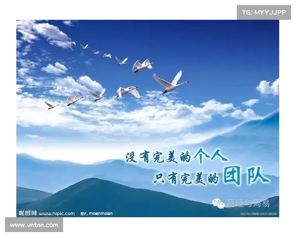 为什么里尔能够逆袭赢得法甲冠军 战术革新与团队凝聚力深度解析